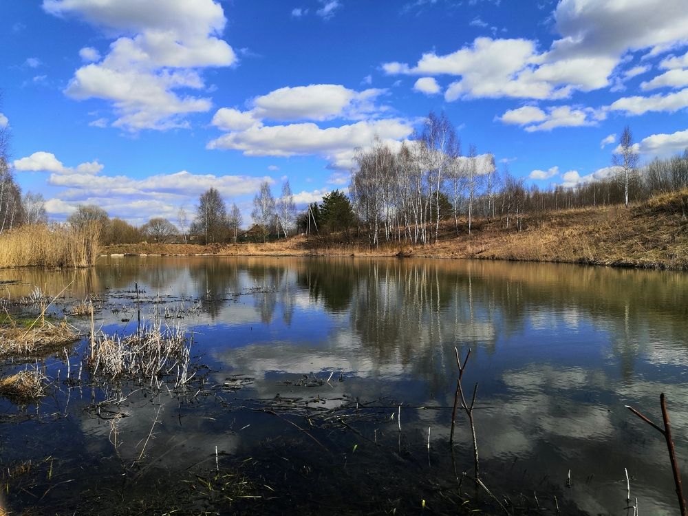 Photograph by Анна Голенева