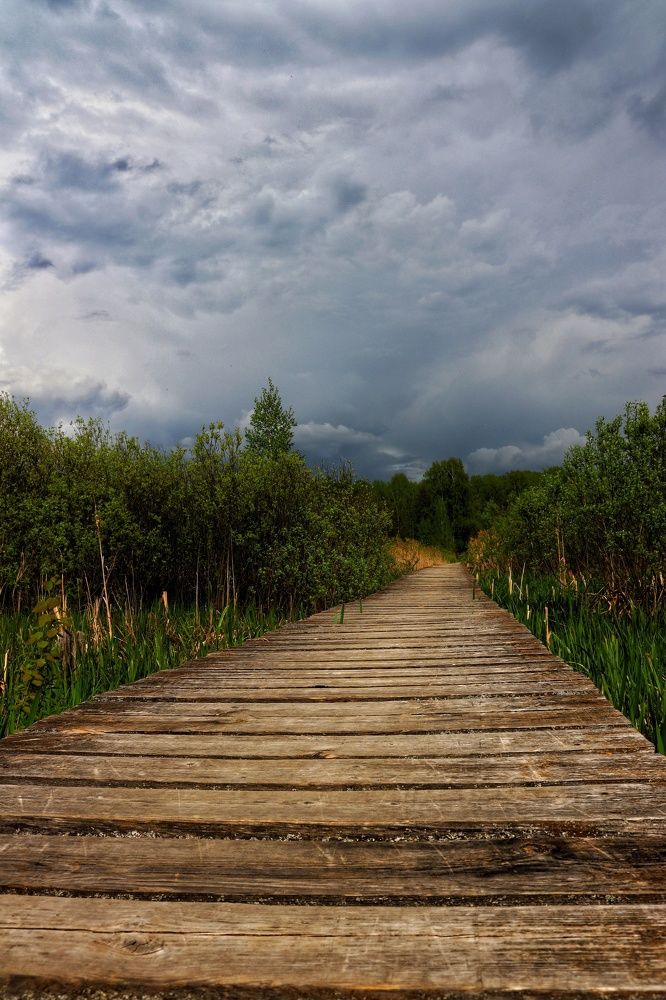 Photograph by Ализа TS