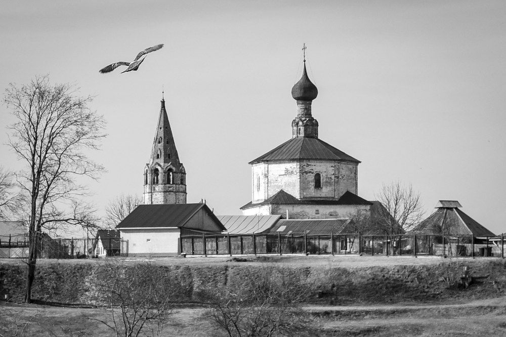 Photograph by Павел Ступак