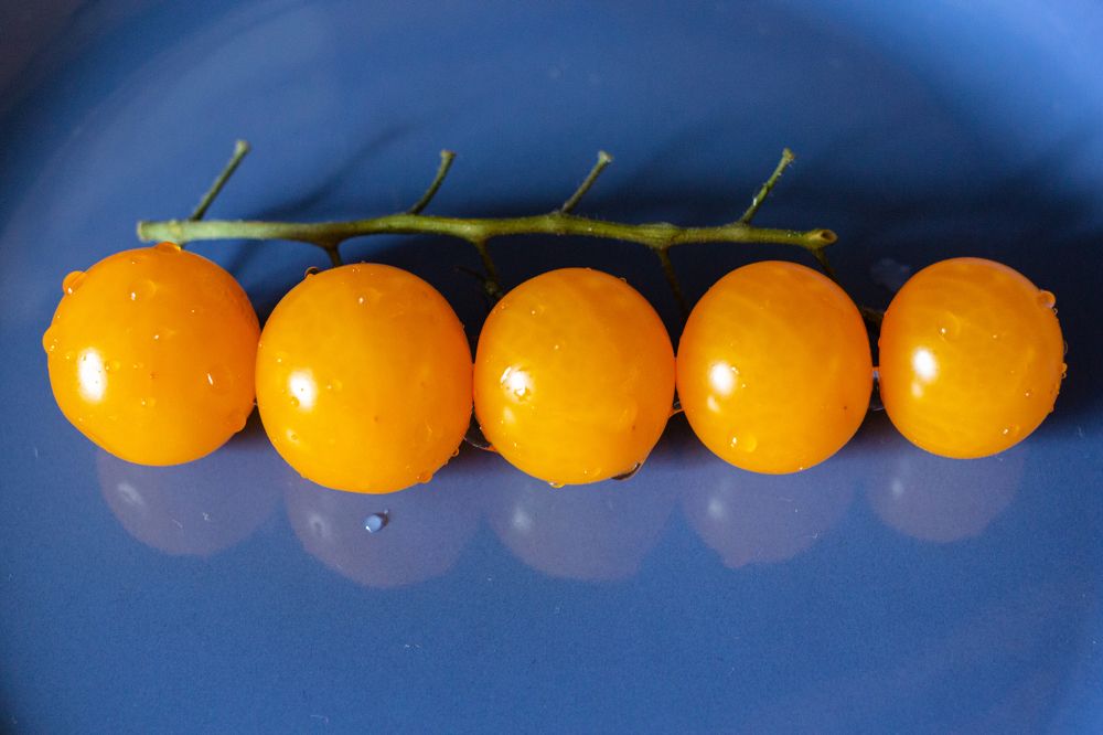 Photograph by Виталий Са