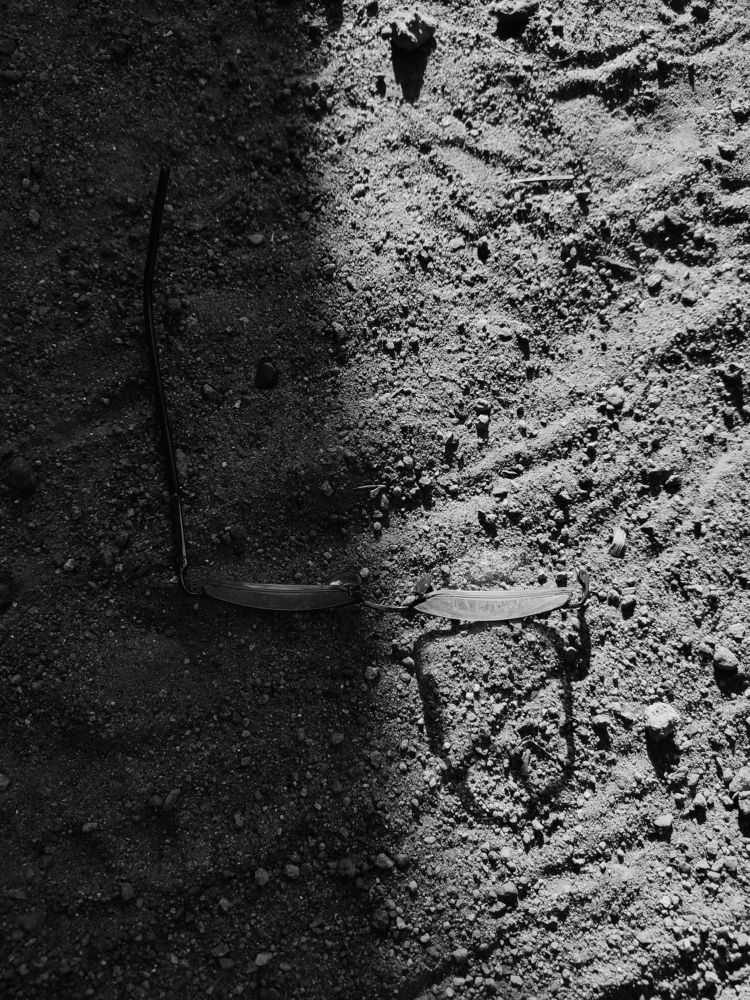 Фотография автора Riju Indira