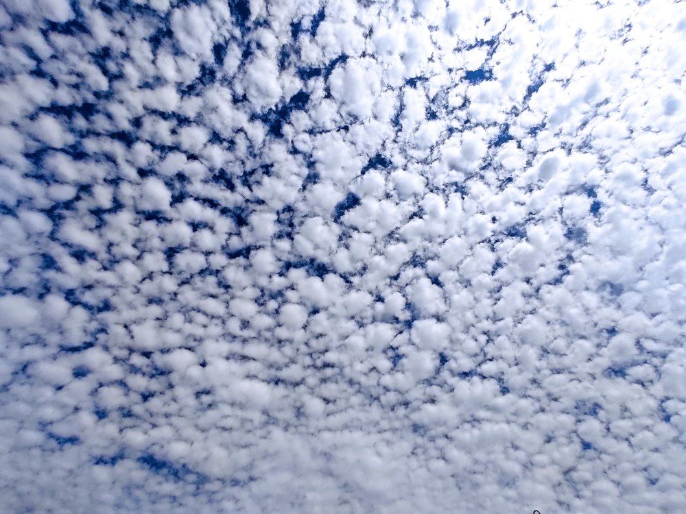 Photograph by samuel celegatti