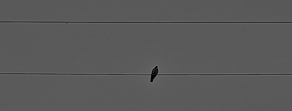 Photograph by Mohammadreza Azizi