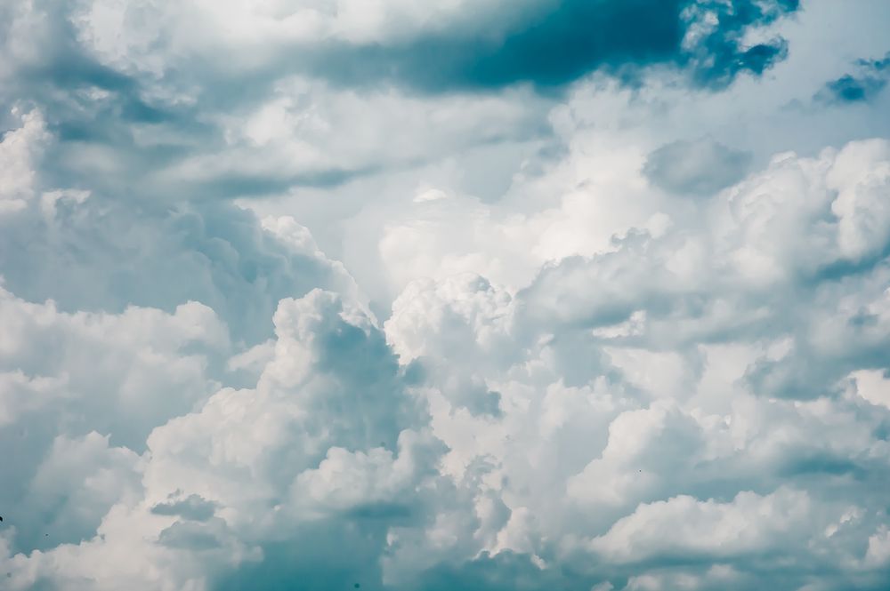 Photograph by Анастасия Селезнева