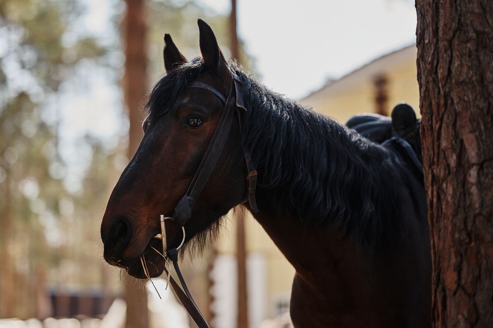 Photograph by Роман Зыков