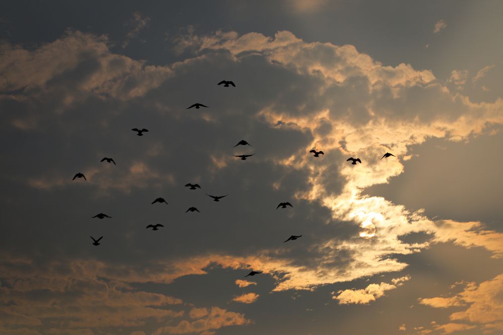 Photograph by Sumon Ghosh