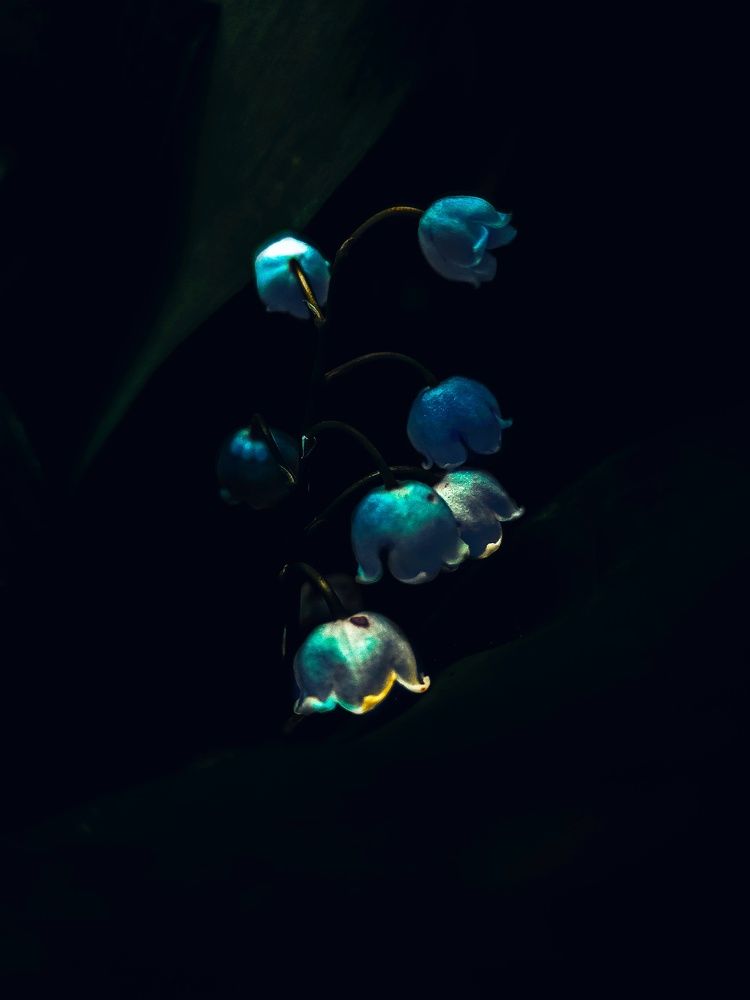 Photograph by Ирина Панкова