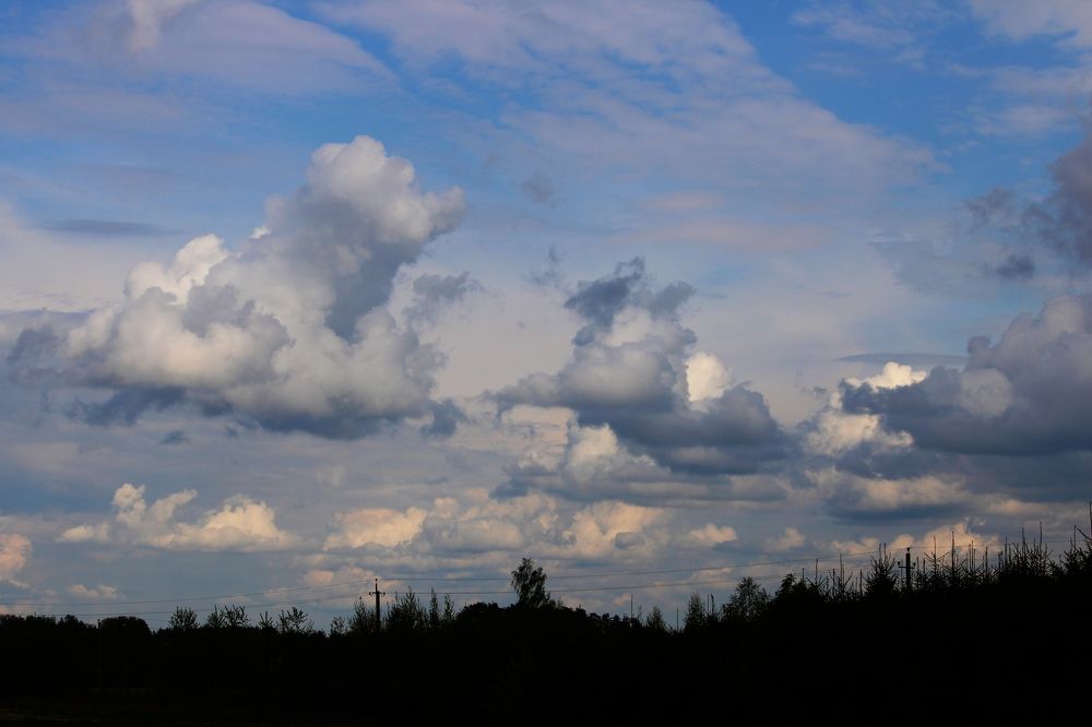 Photograph by Юлия Гаврильчик