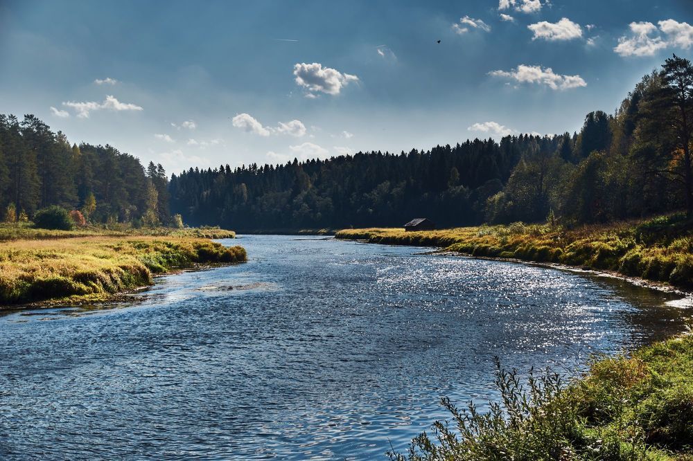 Photograph by Сергей Ветошкин