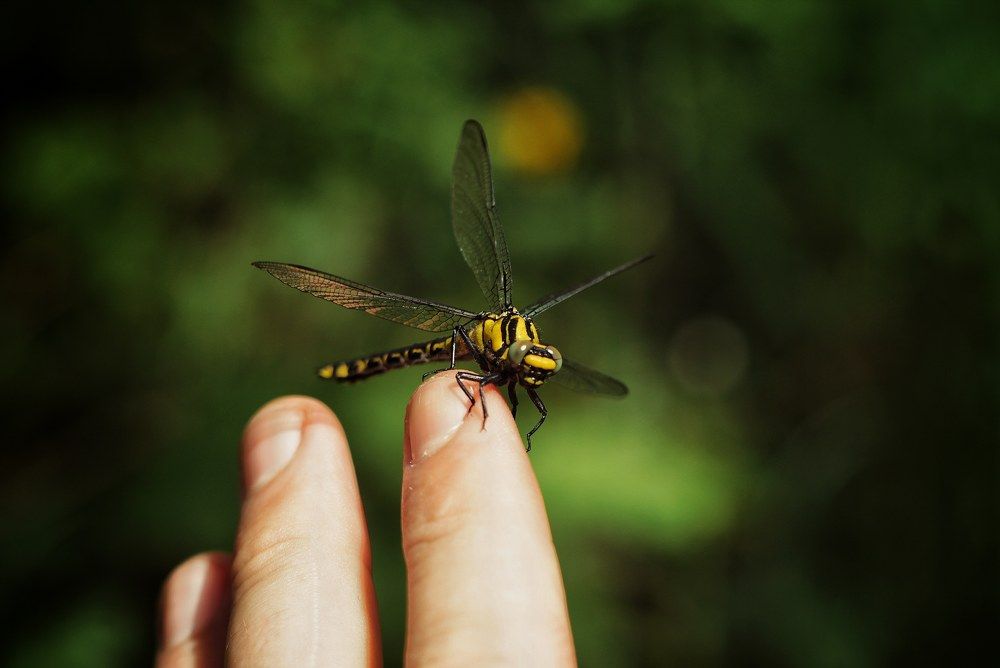 Photograph by Кирилл Кульган