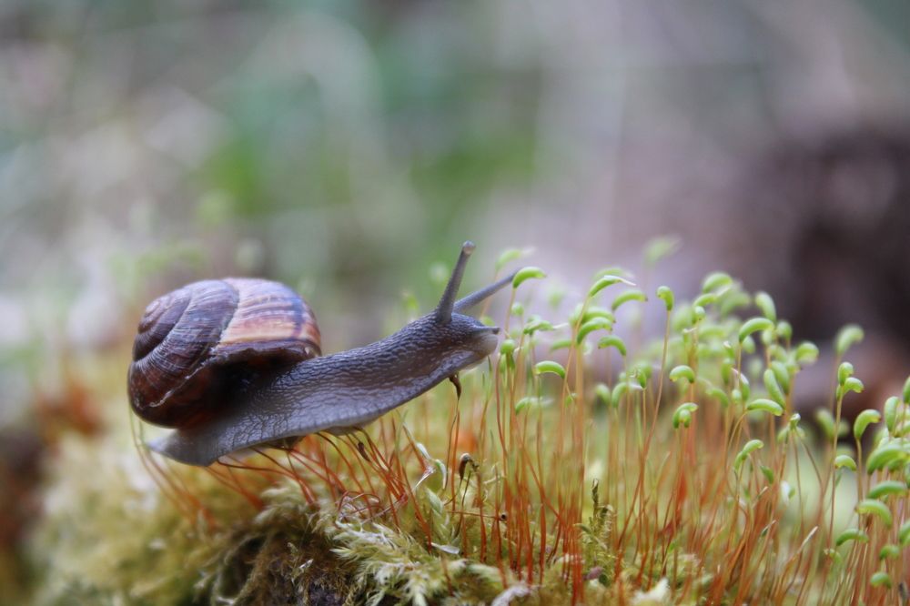 Photograph by Юлия Гаврильчик