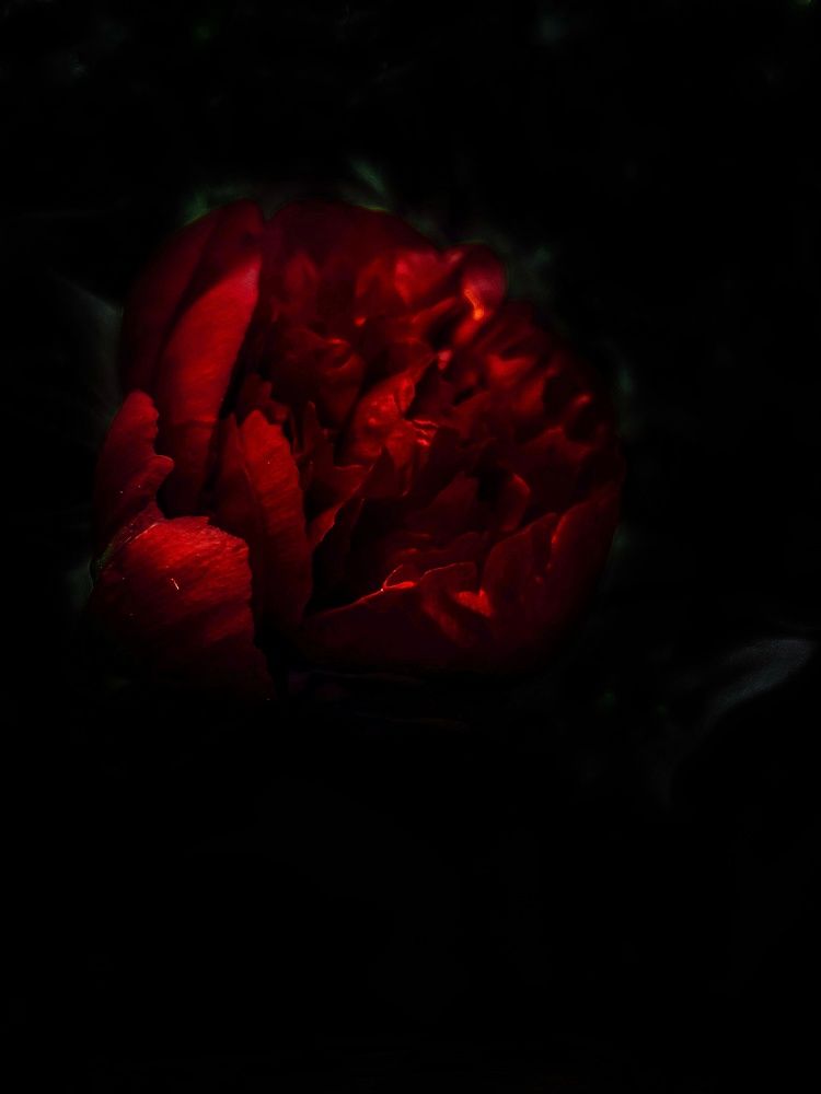 Photograph by Ирина Панкова