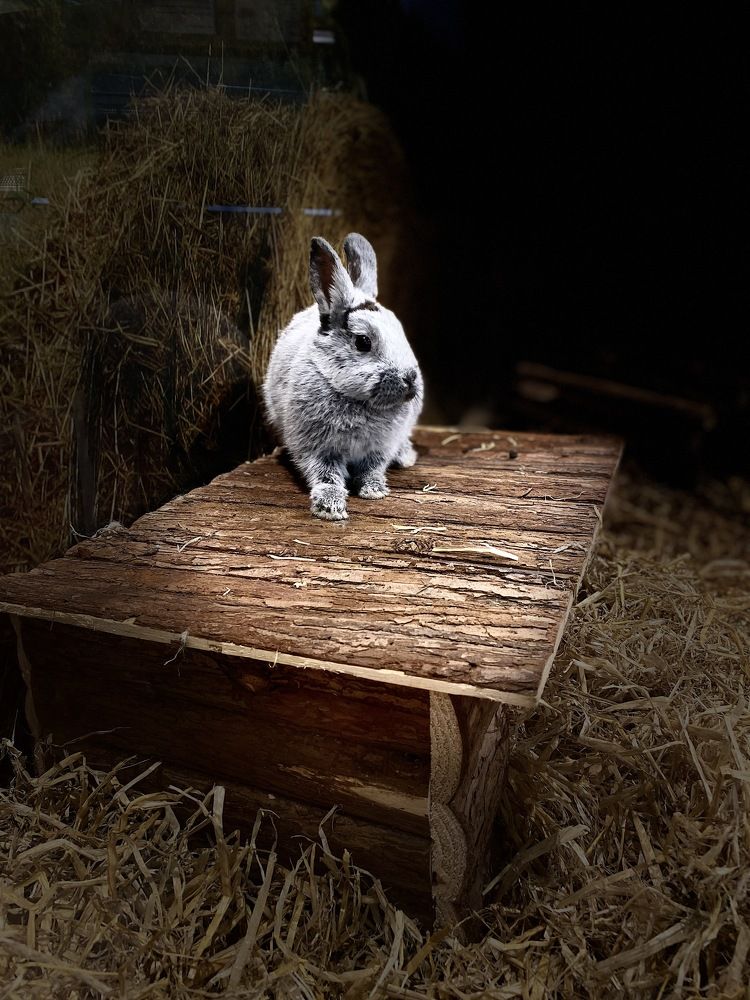 Фотография автора Ramin Ismayilov