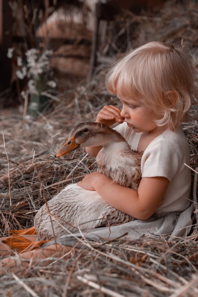 Photograph by Екатерина Айрис