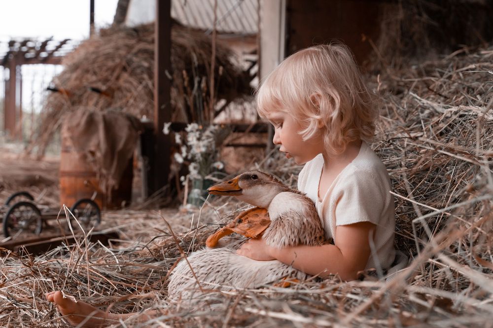 Photograph by Екатерина Айрис