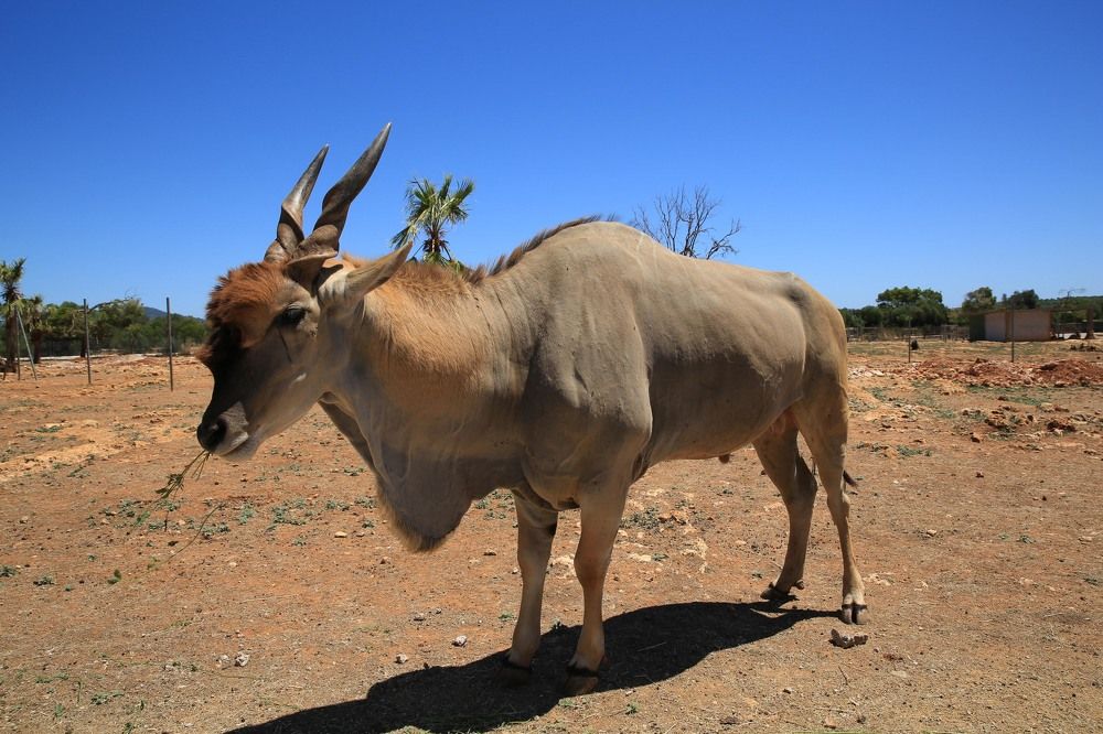 Photograph by Ирина Бородовская