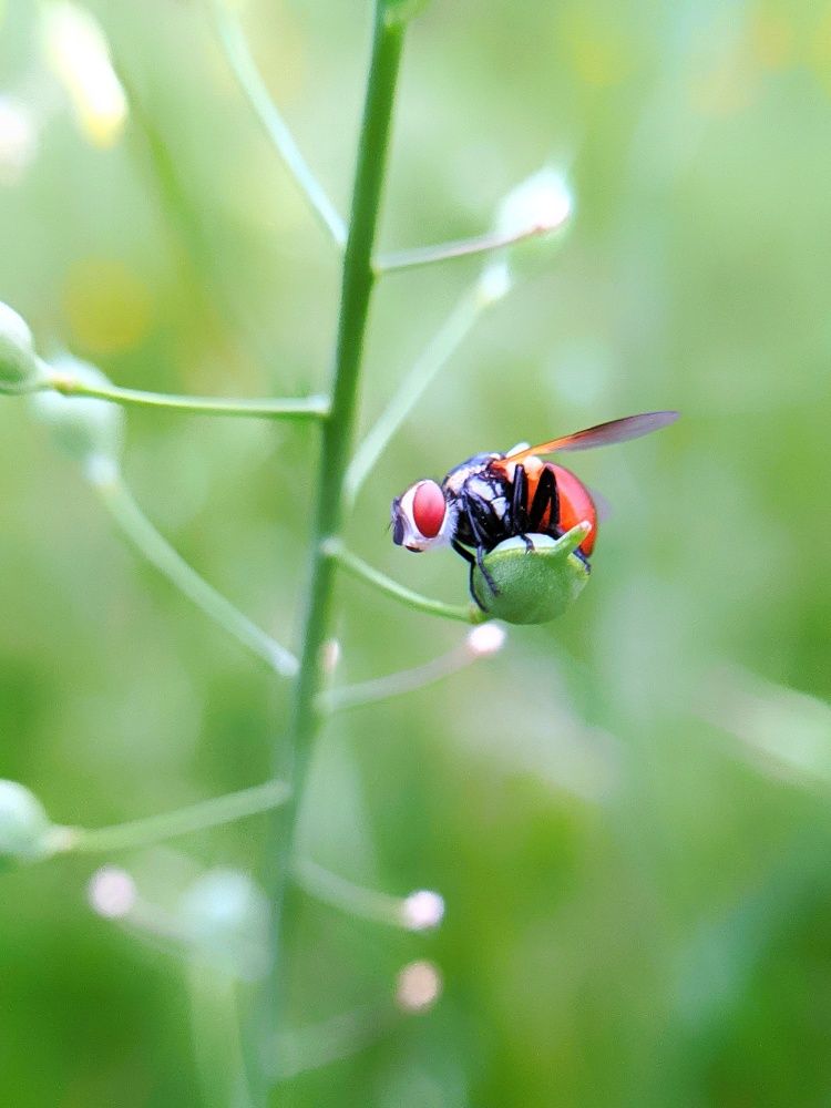 Фотография автора Наталья Синицына