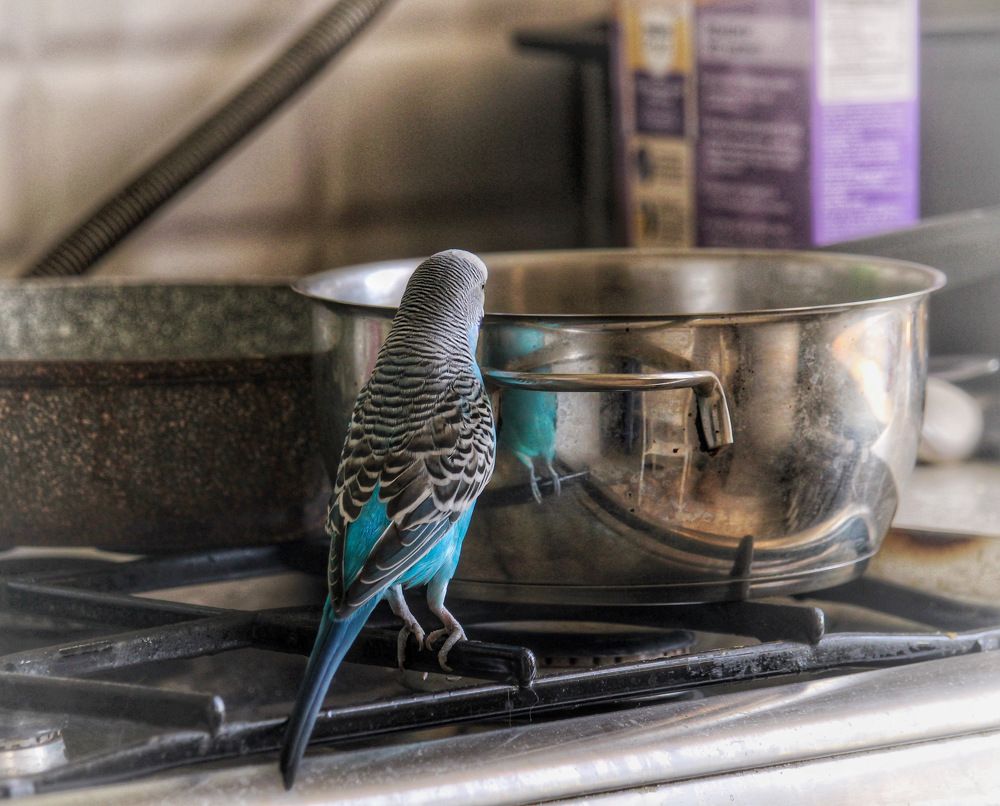 Photograph by Алексей Кроль