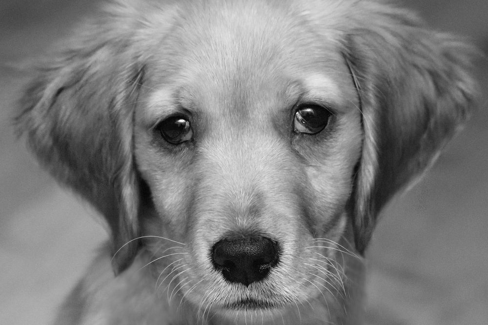 Фотография автора Natalja Bindere