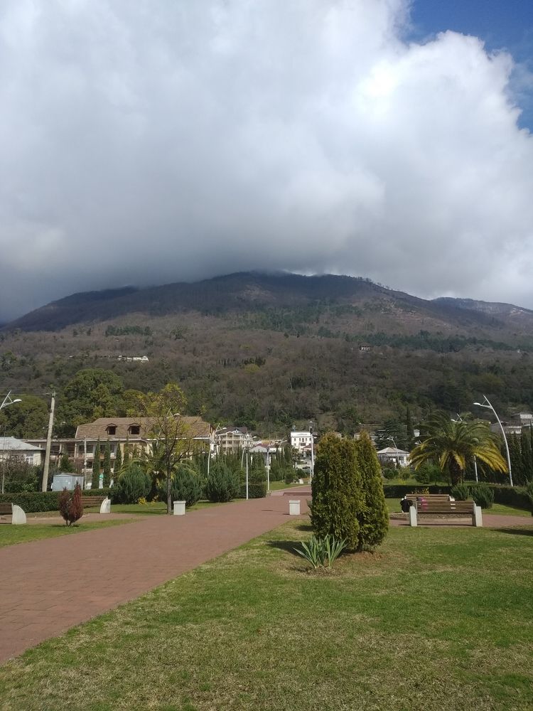 Photo #6127890