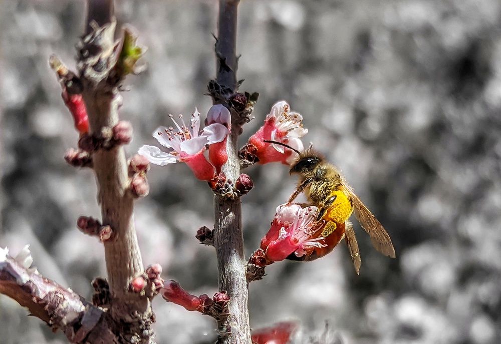 Photograph by Sherko Bahmani
