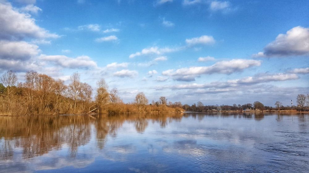 Фотография автора Дана Богинская