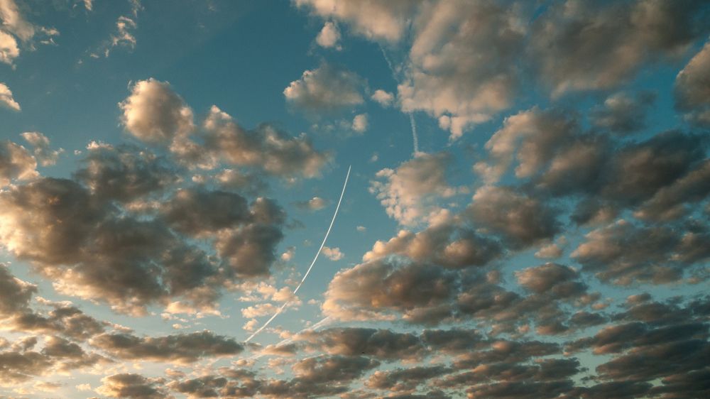 Photo #6128076