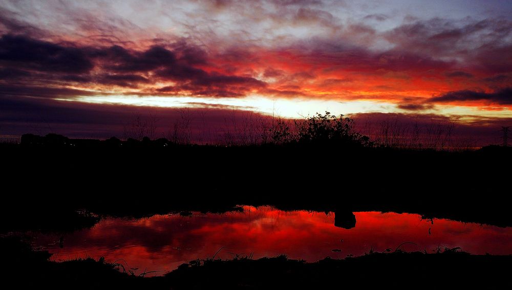 Photograph by Bruno Miguel Pontes Lopes dos Santos