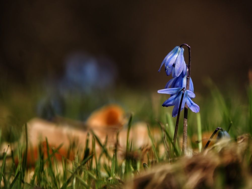 Фотография автора Роман Савоцкий