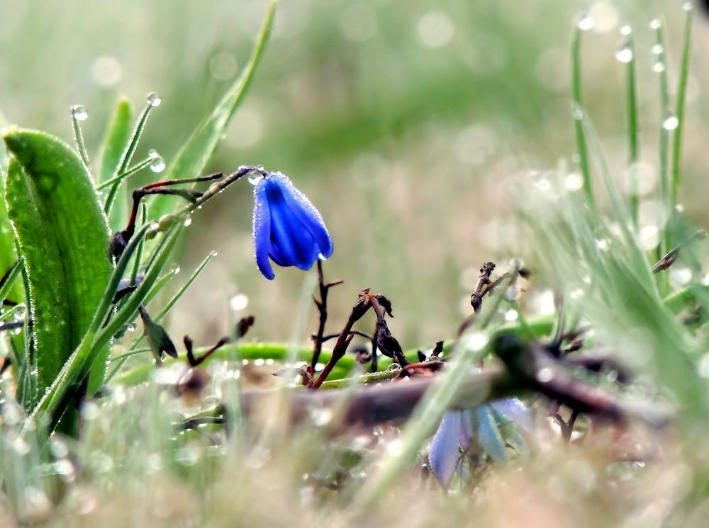 Фотография автора Роман Савоцкий
