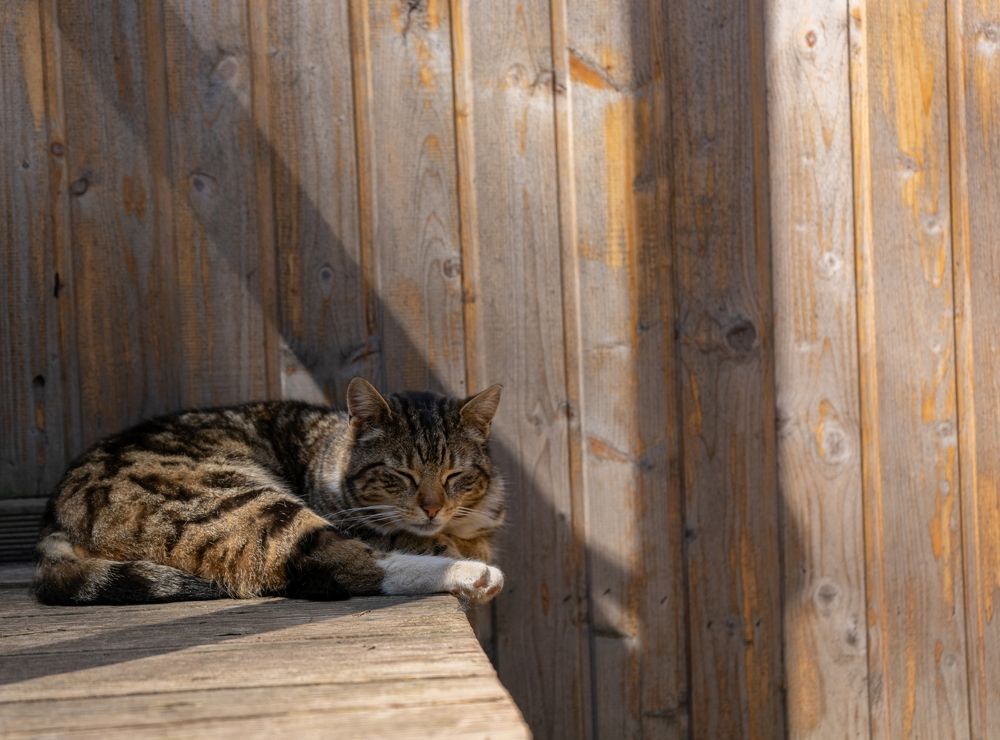 Photograph by Екатерина Семенова