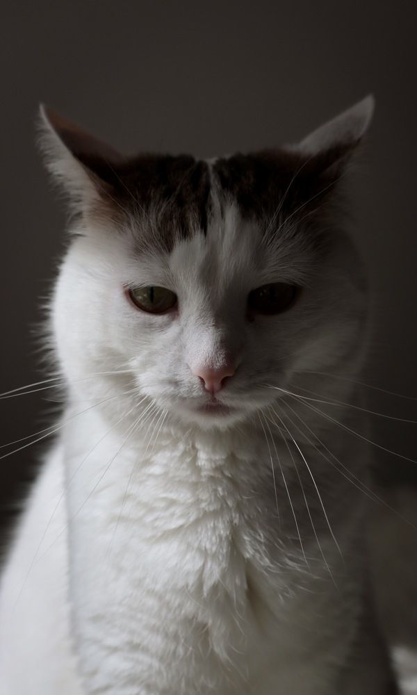 Photograph by Марина Моисеева