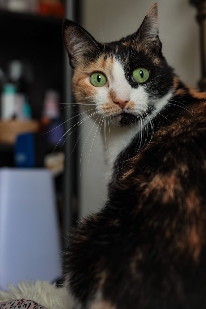 Photograph by Марина Моисеева