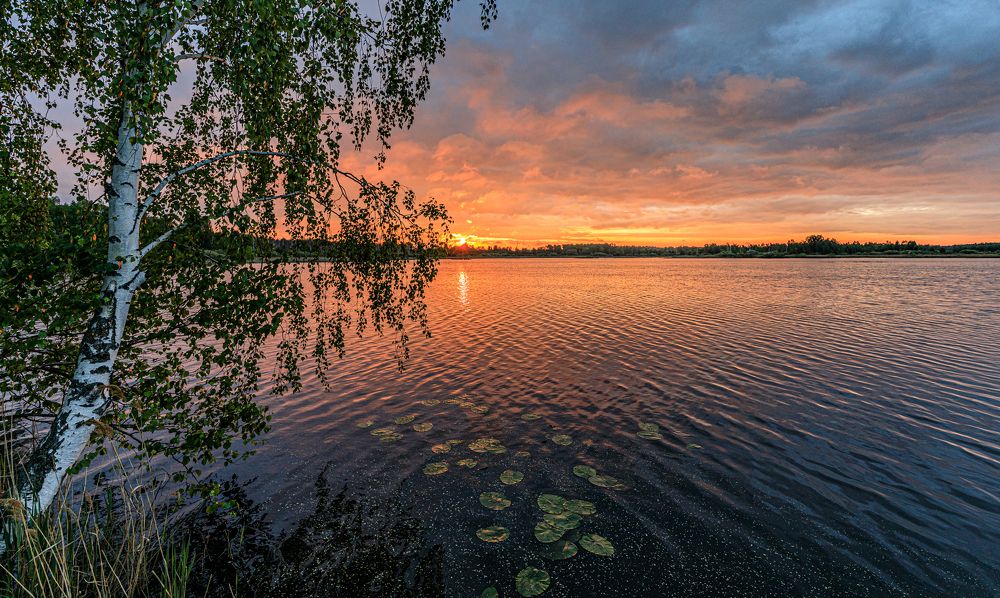 Photograph by Евгений Патрешов