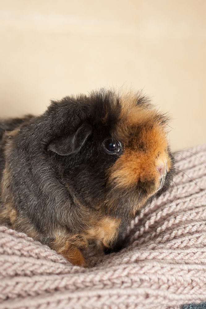 Photograph by  Светлана