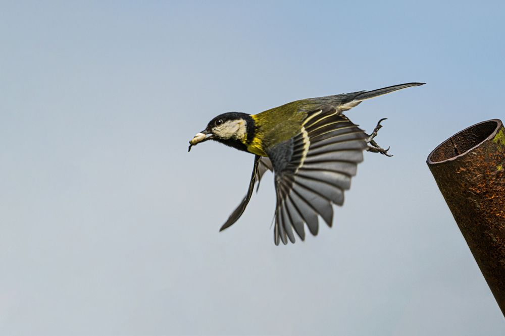 Photograph by ilvars speismanis