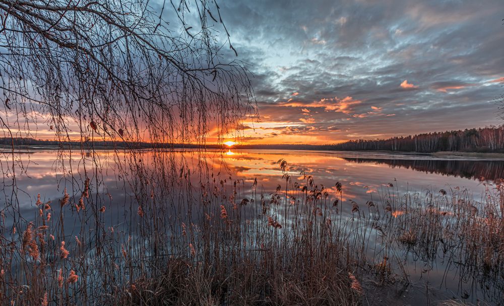 Photograph by Евгений Патрешов