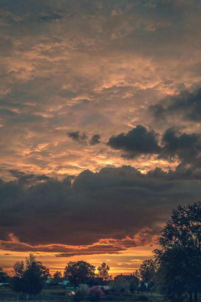 Photograph by Anna Makarenkova