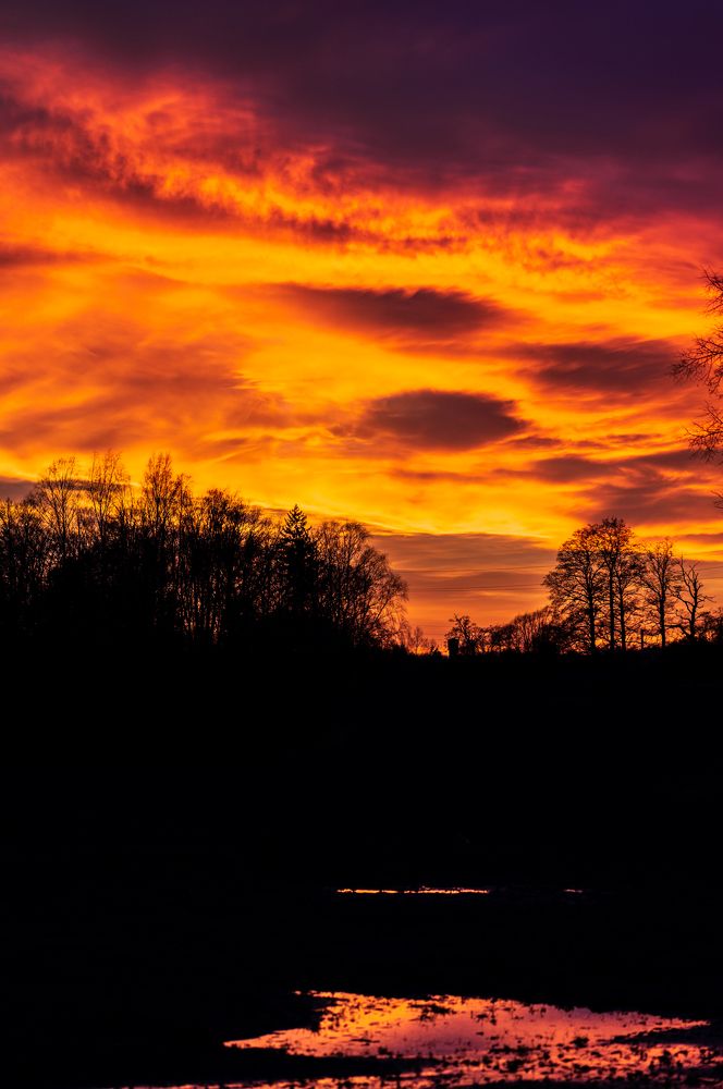 Photograph by Anna Makarenkova