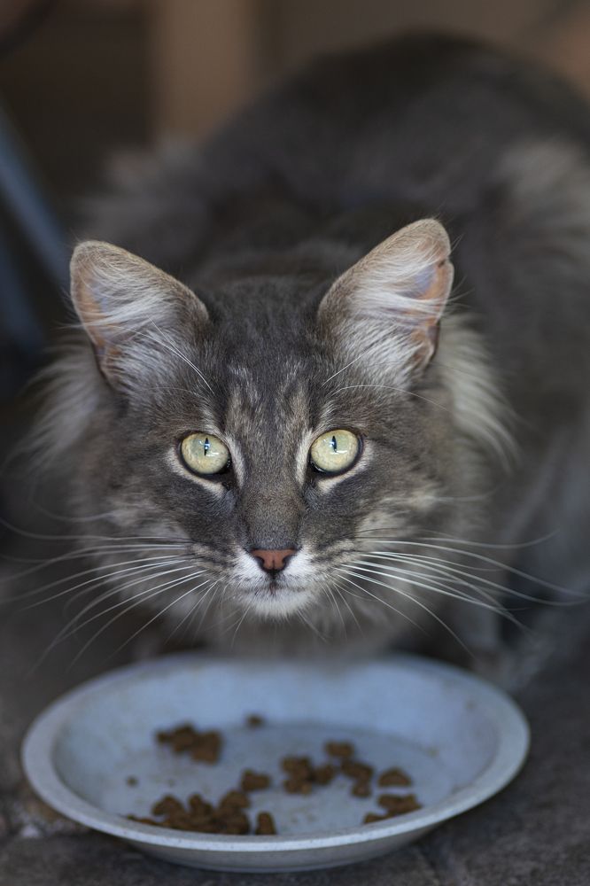 Photograph by David Bueno