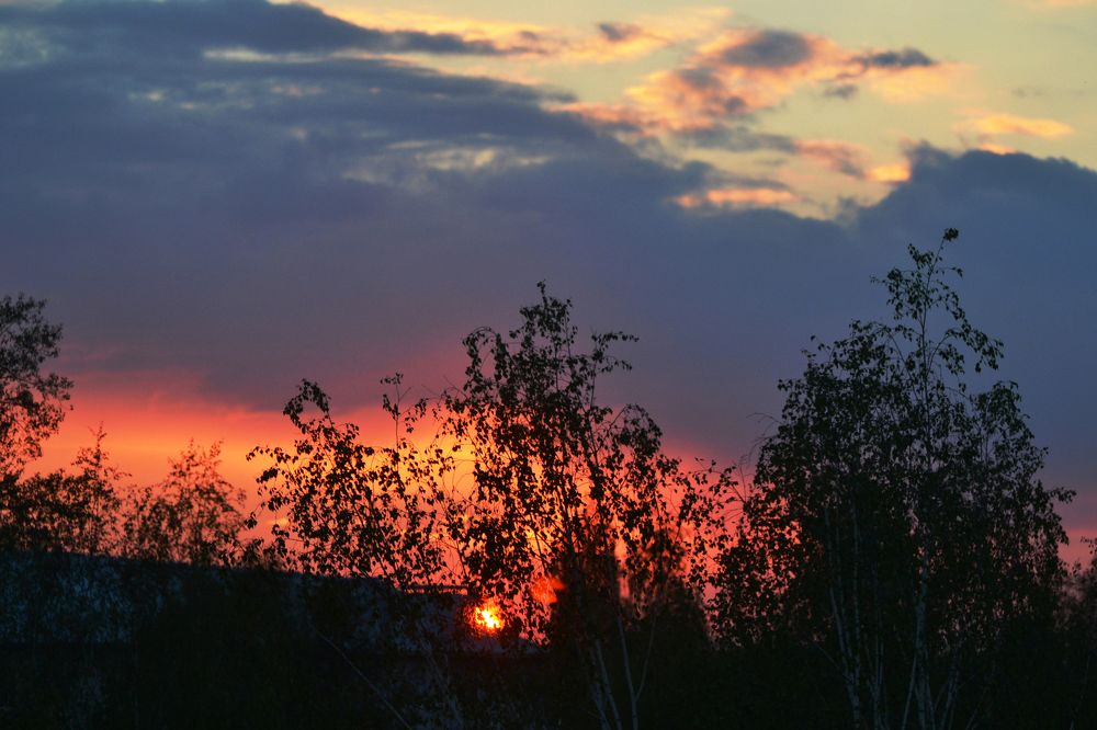 И даже небо поет...