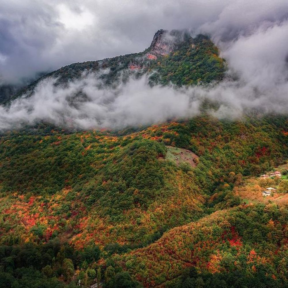 Photograph by Hamid musavi