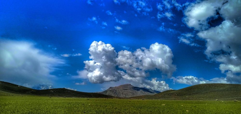 Photograph by MOHAMMAD ASHFAQ