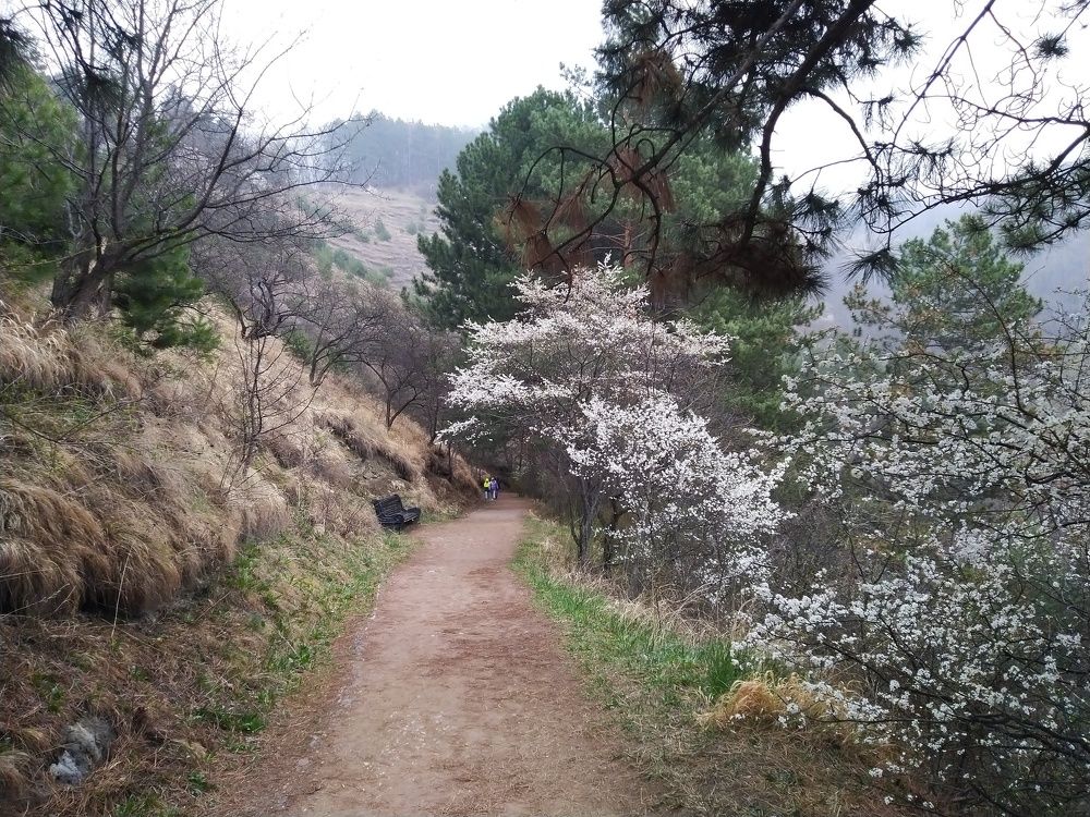 Photograph by Ирина Кулагина