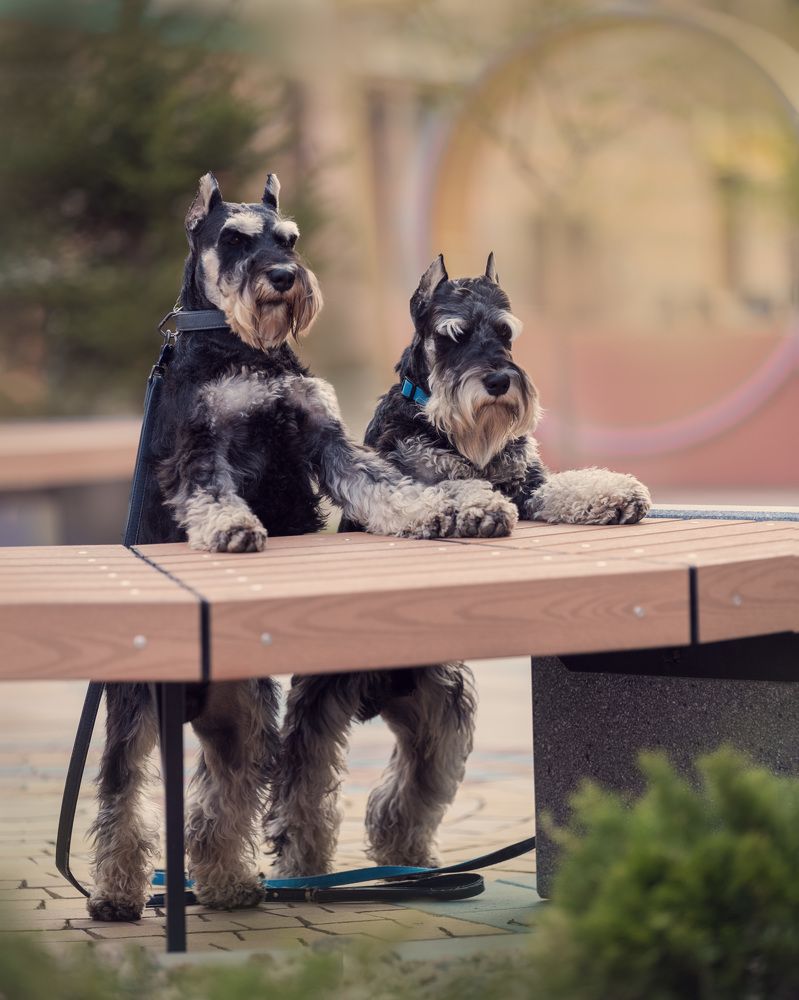 Photograph by Нина Дорожинская