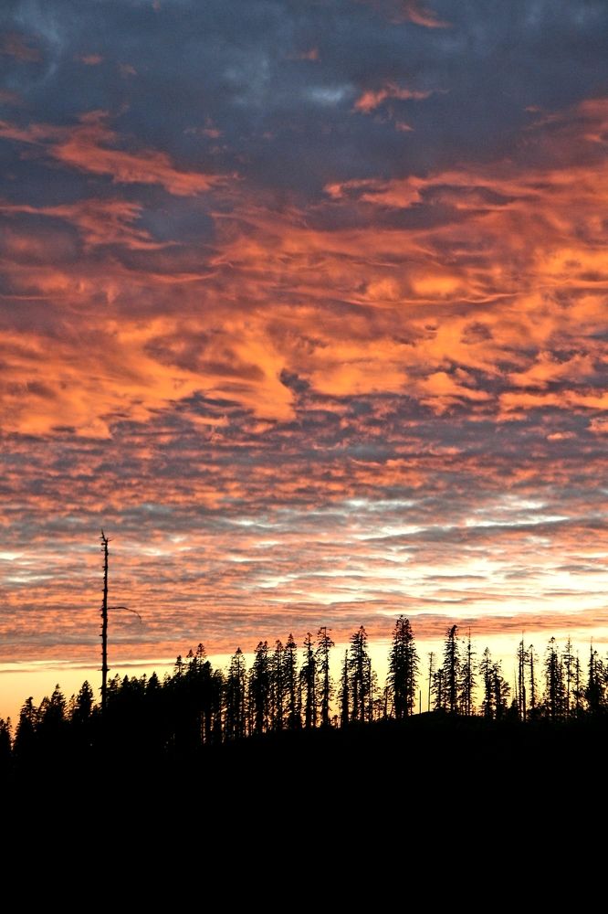 Photograph by Jim Murphy