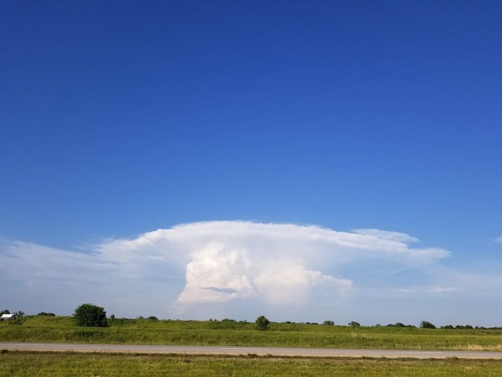 Photograph by Jim Murphy