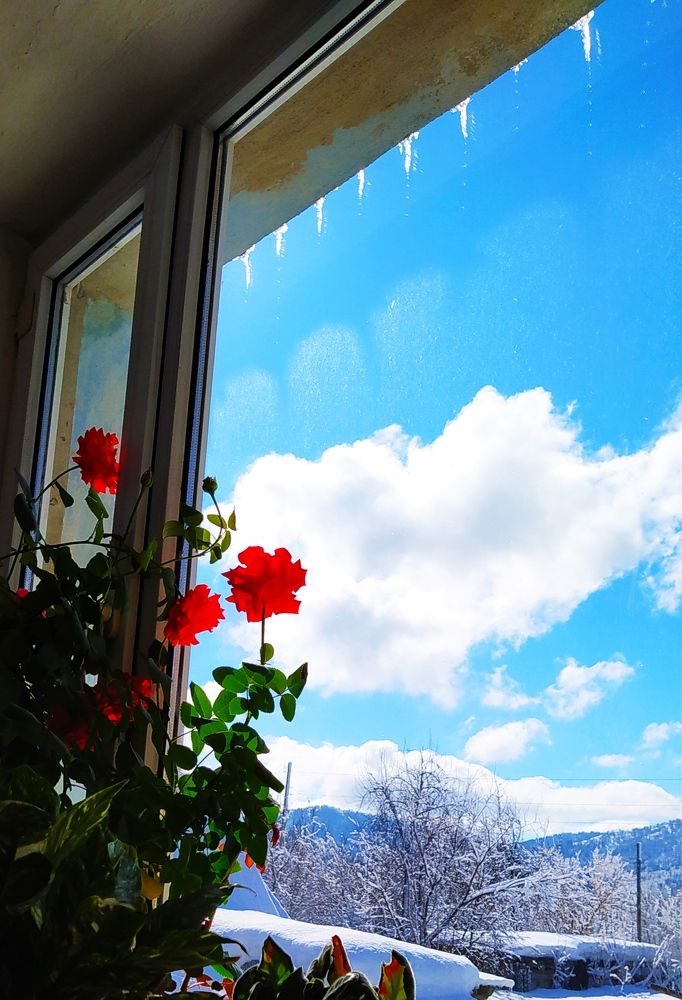 Photograph by Александр Исаченко