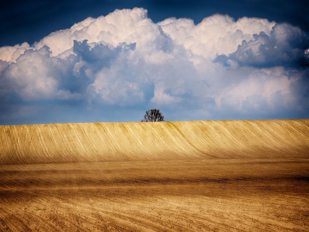 Photograph by Adrian Eperjessy