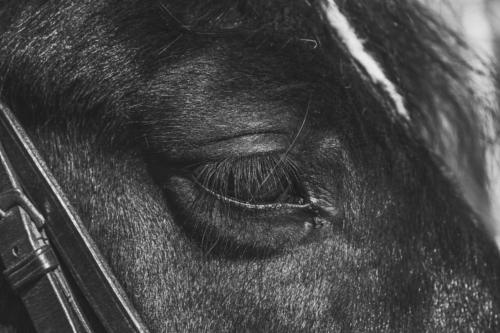 Photograph by Жанна Цветкова